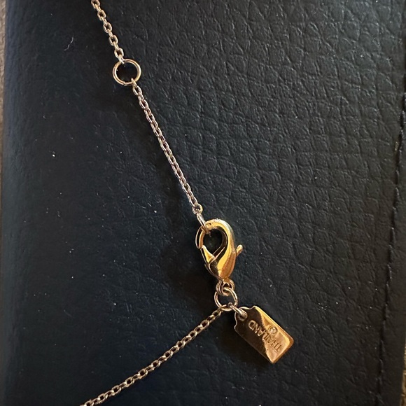 COACH NECKLACE RAINBOW COLORS ON GOLD CHAIN PERFECT GIFT New see earrings too - Picture 8 of 14